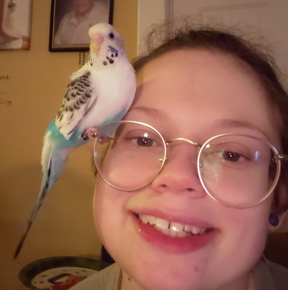 shiroibird
